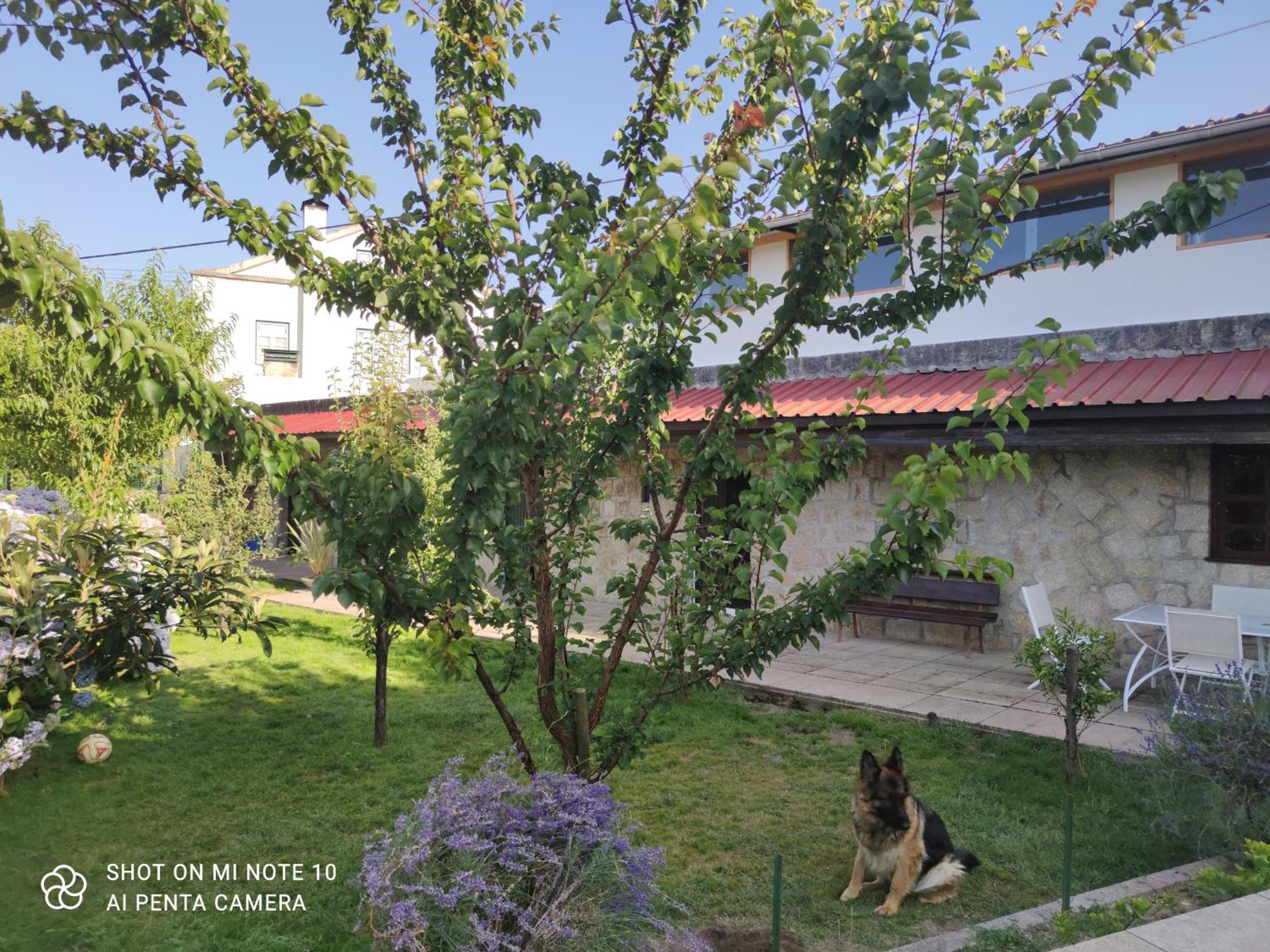 Real Santo Antonio Guest House Tarouca Bagian luar foto