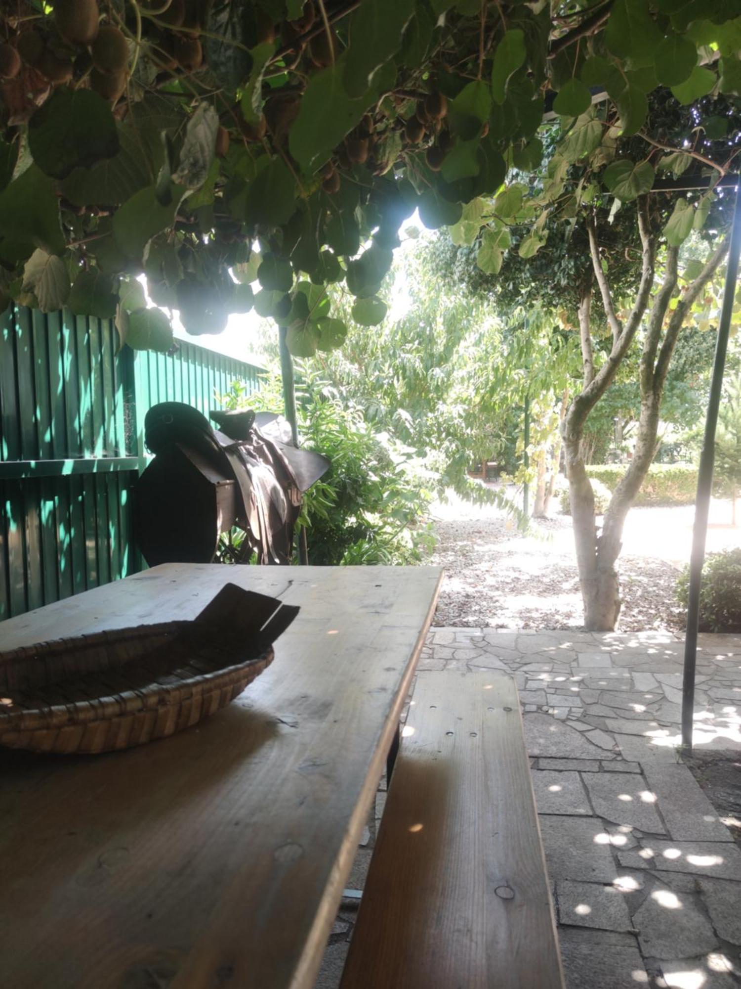 Real Santo Antonio Guest House Tarouca Bagian luar foto