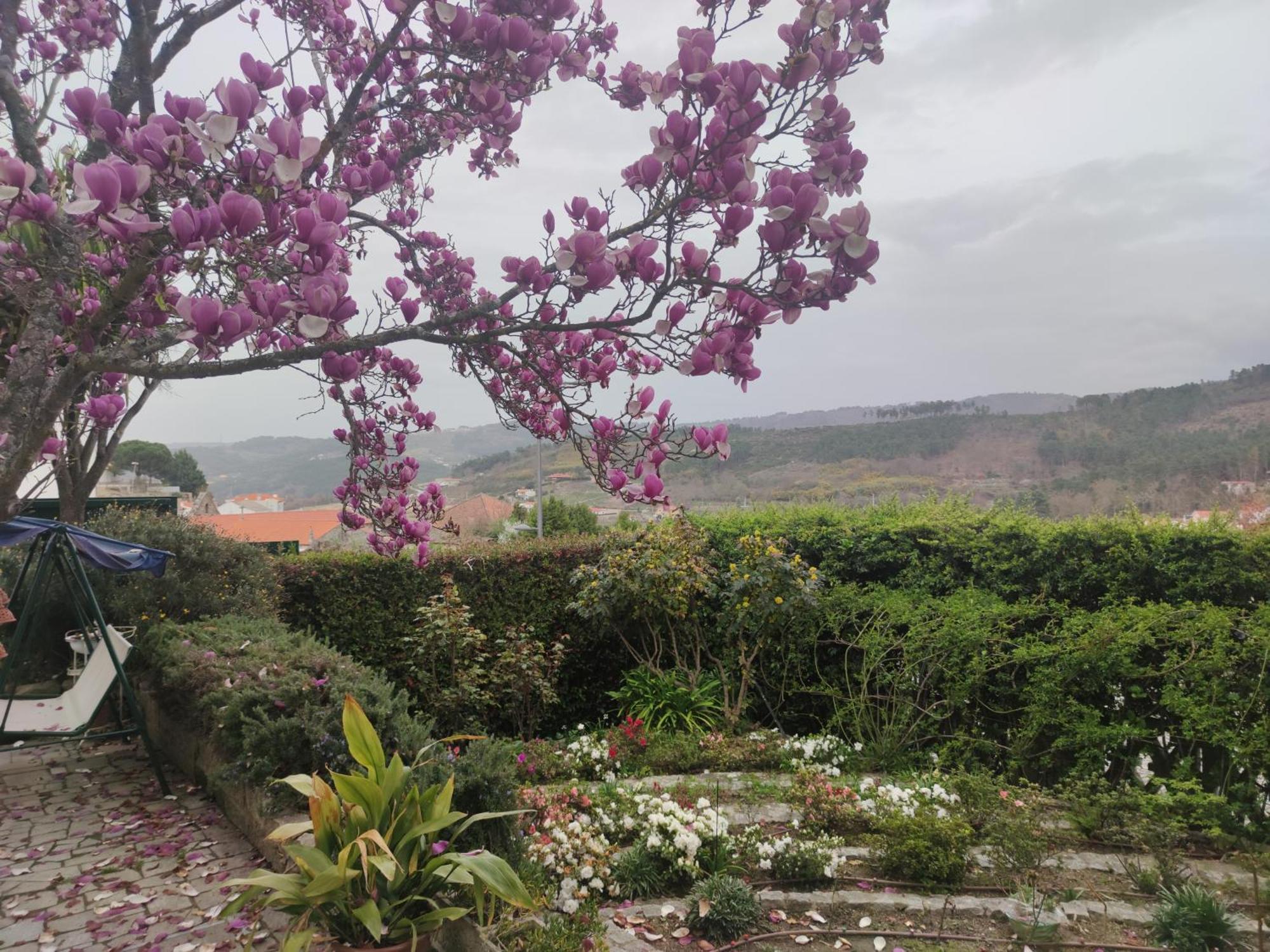 Real Santo Antonio Guest House Tarouca Bagian luar foto