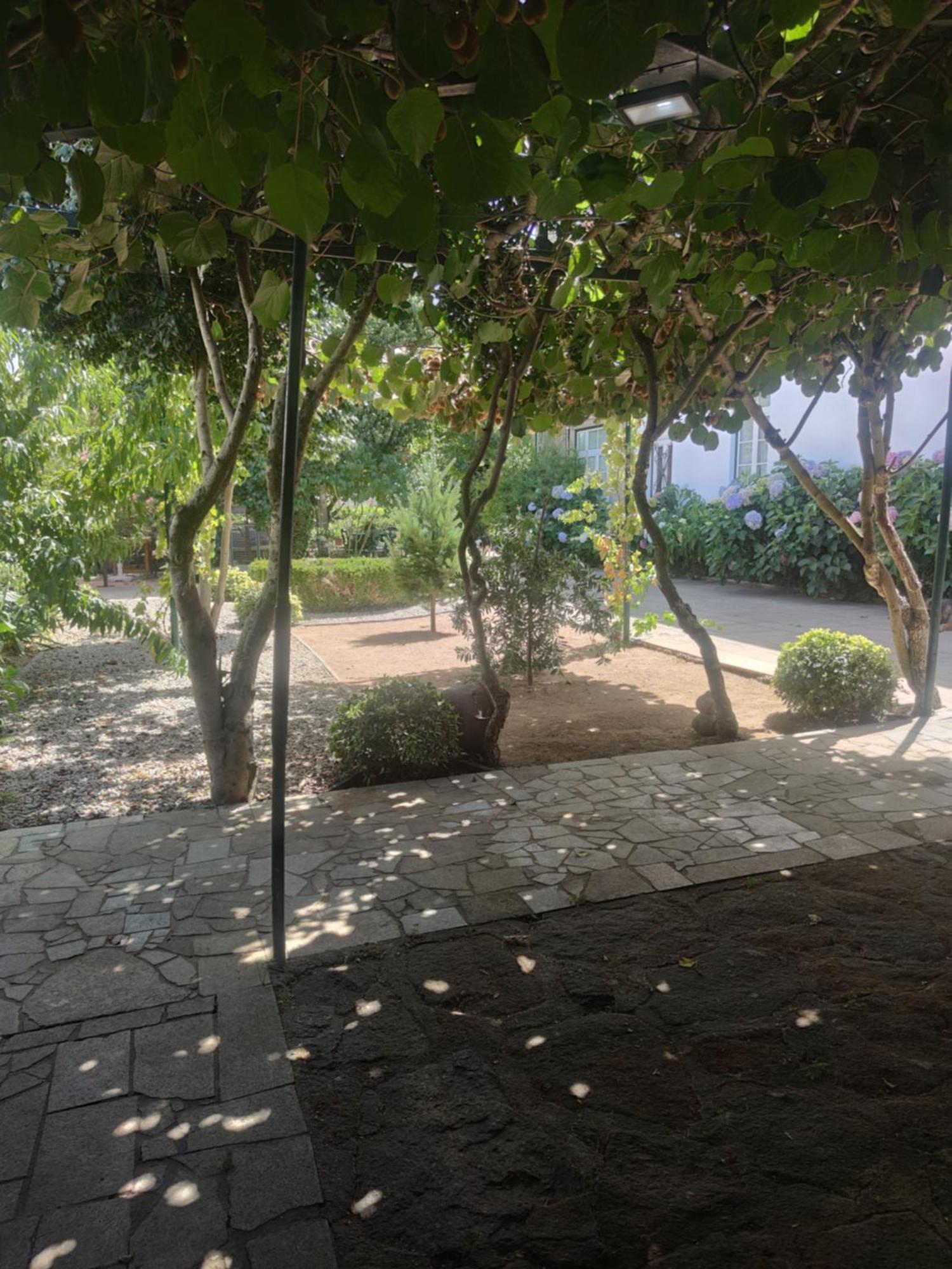 Real Santo Antonio Guest House Tarouca Bagian luar foto