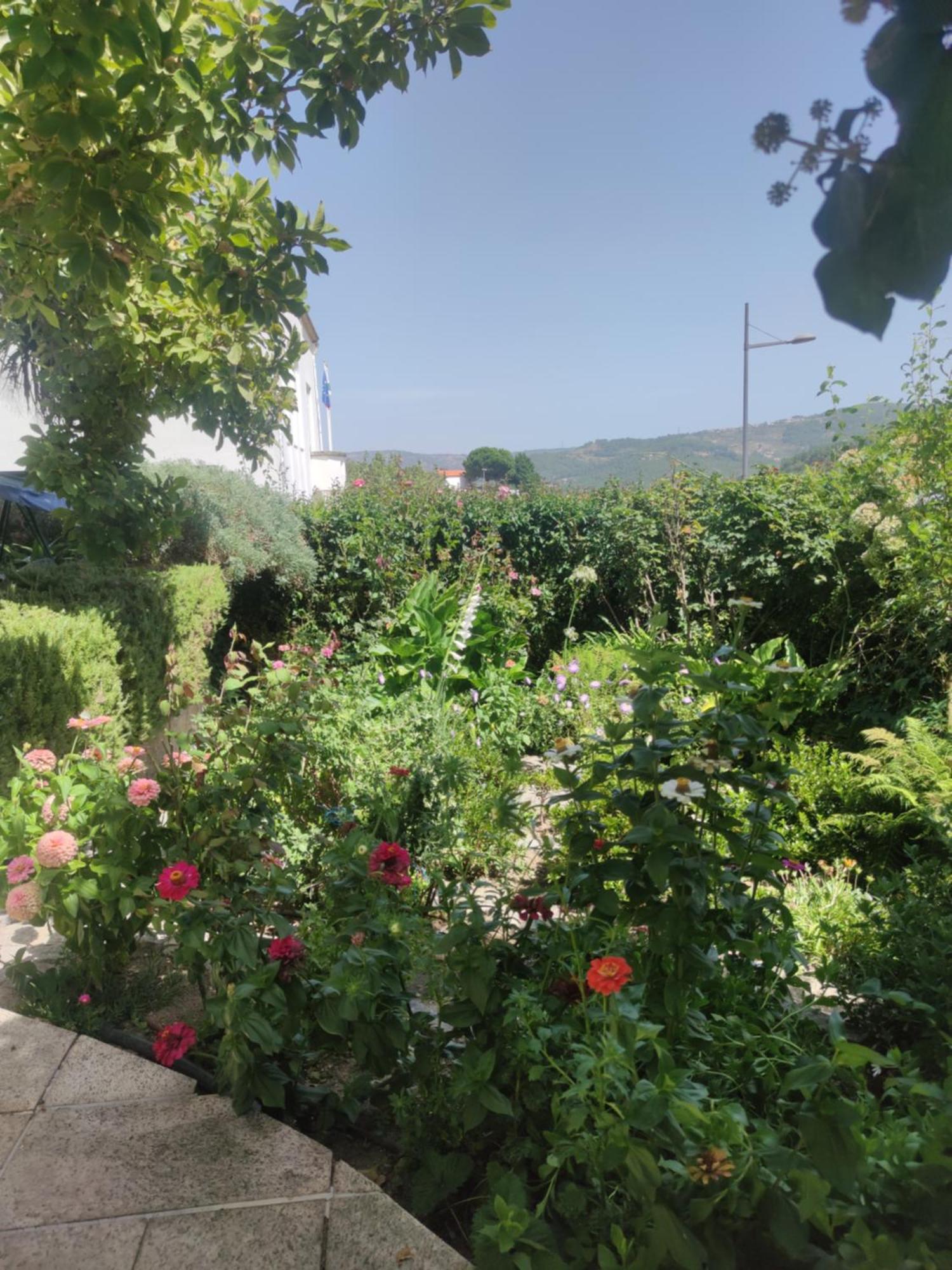Real Santo Antonio Guest House Tarouca Bagian luar foto
