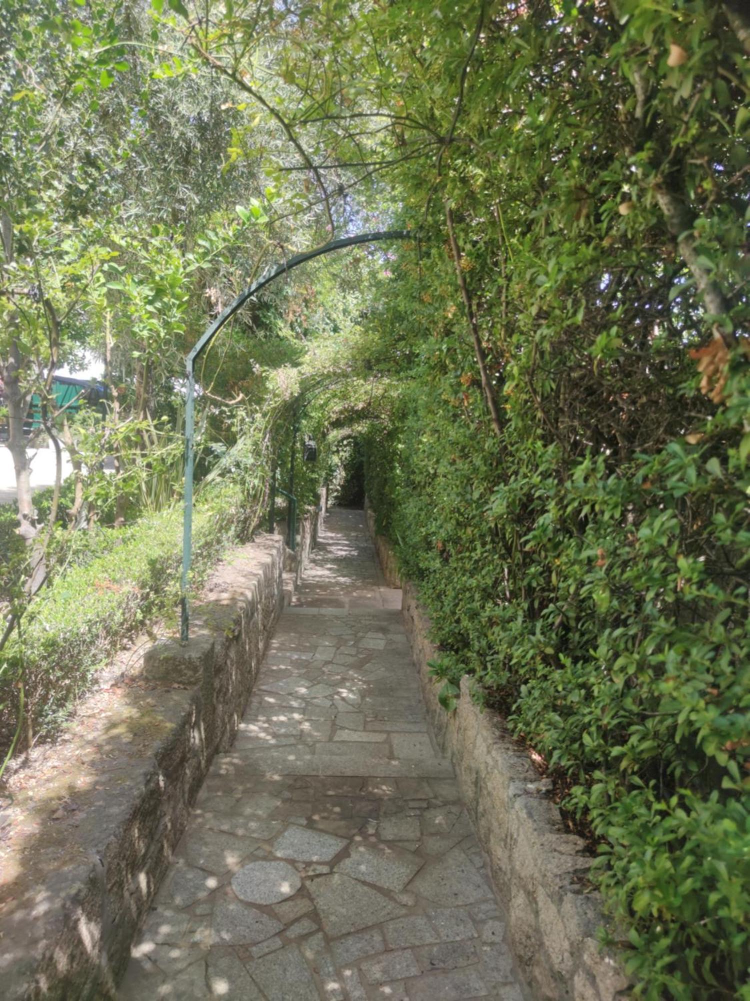 Real Santo Antonio Guest House Tarouca Bagian luar foto