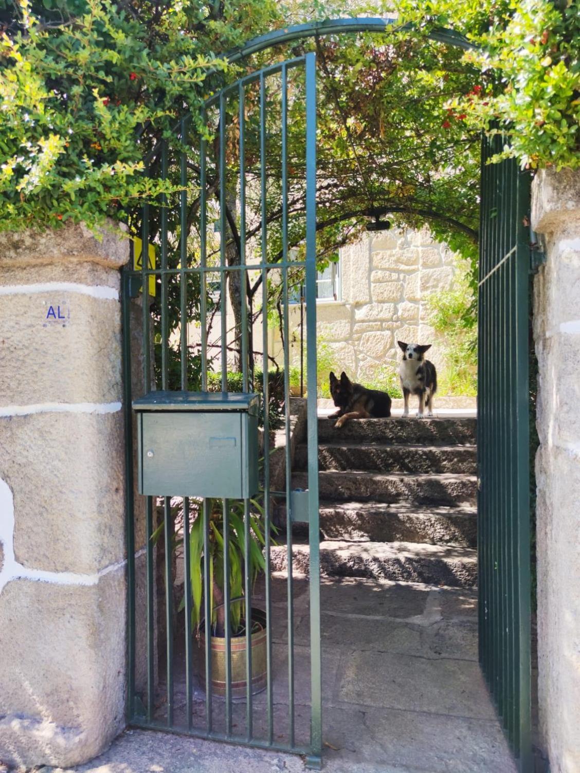 Real Santo Antonio Guest House Tarouca Bagian luar foto