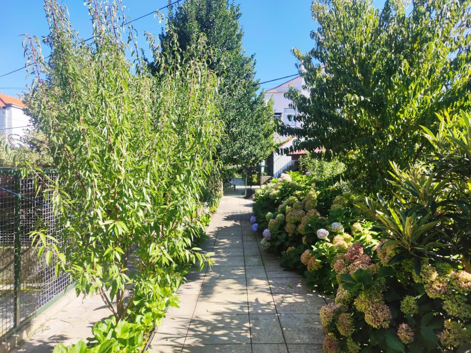 Real Santo Antonio Guest House Tarouca Bagian luar foto