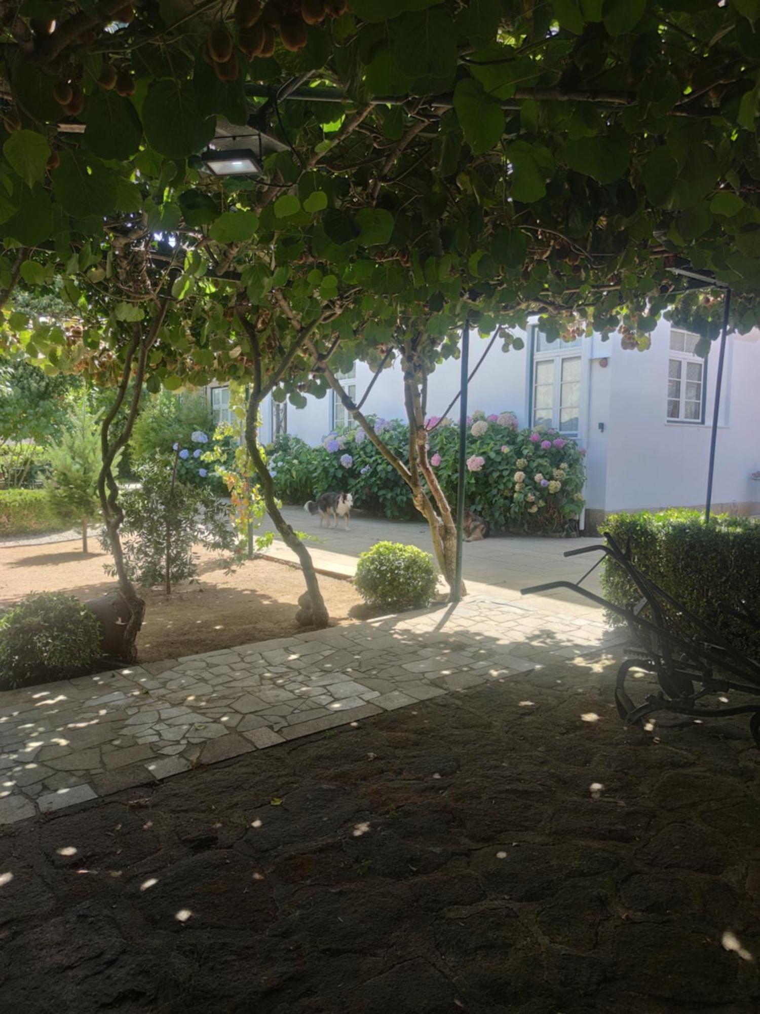 Real Santo Antonio Guest House Tarouca Bagian luar foto